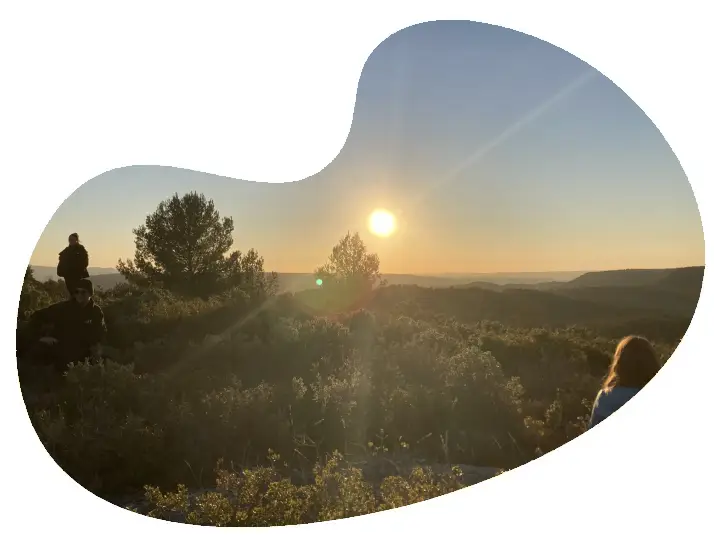 Paysage - Accompagnement vers vos objectifs